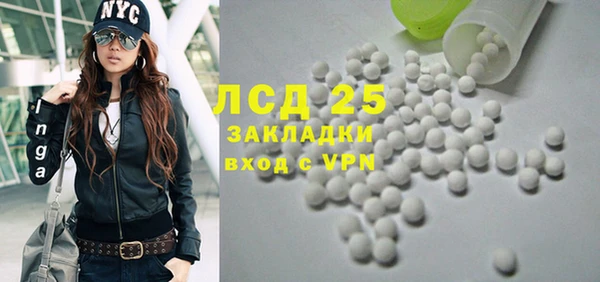ГАЛЛЮЦИНОГЕННЫЕ ГРИБЫ Бородино