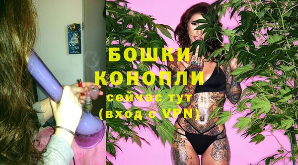 ECSTASY Богородицк