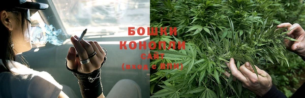 ECSTASY Богородицк