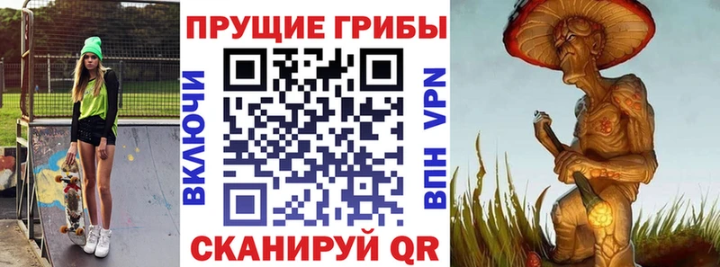 Псилоцибиновые грибы MAGIC MUSHROOMS  закладка  Данков 